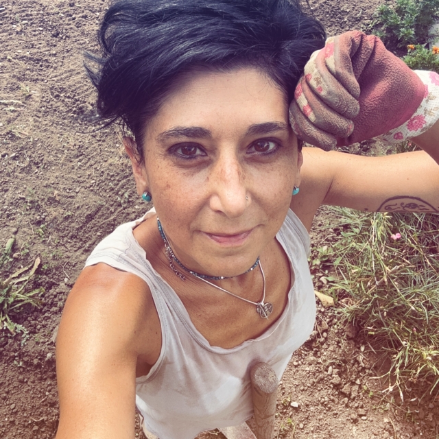Dopo l’ultimo temporale, il terreno si è ammorbidito, si è sciolta la crosta arida delle settimane passate, e sono riuscita ad arieggiarlo un po’. Ho tolto una carriola di portulaca(che è sempre meglio della gramigna!), che anche se ovunque ci sono reel che dicono che è un super food e ne danno ricettine gourmet , pesti, spadellate, e quant’altro, a me proprio non piace 🫣
Preparo il terreno per l’orto invernale, che a causa del caldone slitta un po’ più in là. 

È un anno strano anche nell’orto. 

Le ultime zinnie invece hanno un colore splendido, già con il sentore di settembre.

#ortiurbani 
#marinacremoniniillustratrice 
#fineagosto 
#laterraèbassa