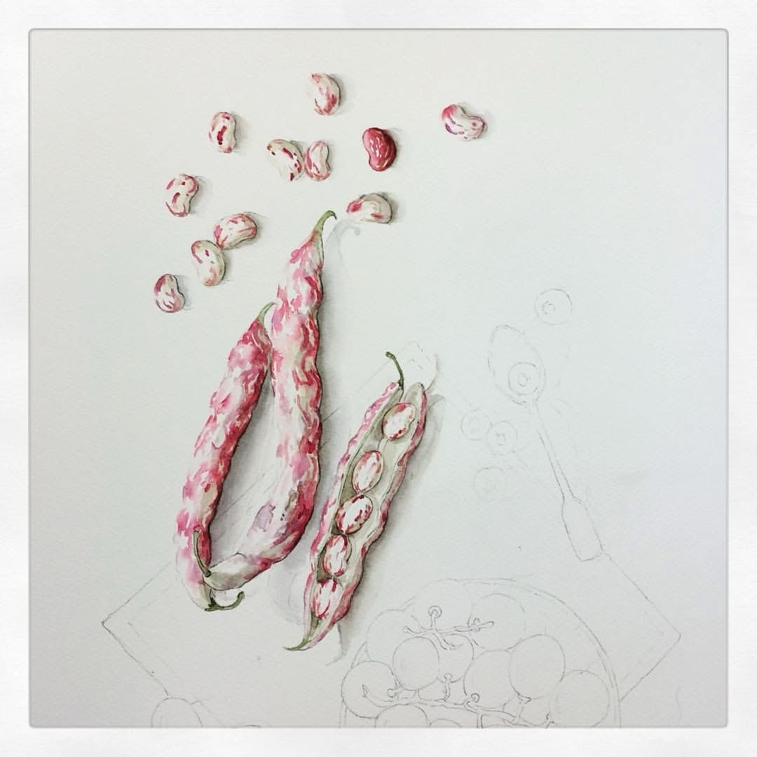 Di quando dipingevo fagioli borlotti “in 3D”. 
Che pure questo avrei voglia di rifare…assieme a mille altre cose che non faccio più (per mancanza di tempo, e perché molte cose sono cambiate) 

Ma se lo aggiungo all’elenco, disegnare verdurine,  mi salta fuori un rotolo di carta igienica 🧻!

#marinacremoniniillustratrice 
#watercolorillustration 
#botanicaldrawing 
#borlotti