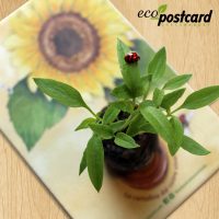 eco postcard