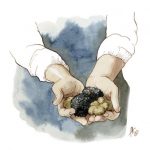 Illustrazioni pubblicità, packaging e web, Rioverde Tartufi 5 vittoria, truffle's shop