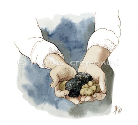 vittoria, truffle's shop