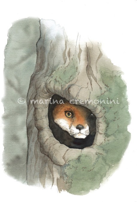 the little fox, watercolour on paper