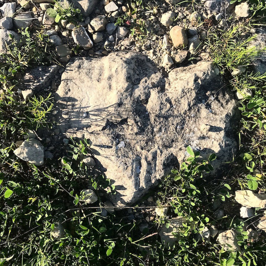 Un cuore di roccia