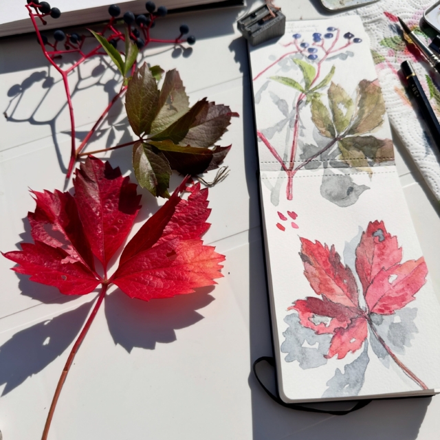 La vita americana è cosí bella in ottobre… i suoi steli fuxia sono ipnotici.Il taccuino piccolo (scelto per i momenti di poco tempo in cui sono  abbligata a riassumere ) mi obbliga a fare delle scelte chiare su cosa fermare sul foglio: scelgo di disegnare una parte di ciò che vedo (come ho fatto ieri), o scelgo di “riassumere tutto”, ridimensionare, e fare stare l’oggetto nello spazio ridotto del foglio?
Disegno una parte o disegno l’intero?
Mi affascina sempre molto tutta quella parte “invisibile” ma essenziale del processo creativo…#marinacremoniniillustratrice #autumnvibes #watercolorsketching #moleskin #botanicalsketch