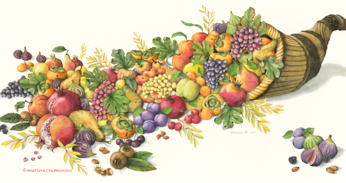 COrnucipia stampa