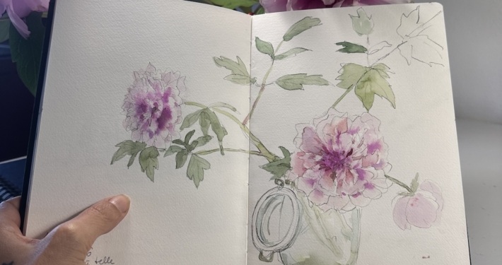 Peonie montagna5
