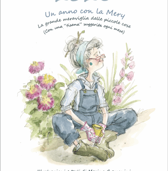 cover mery 26